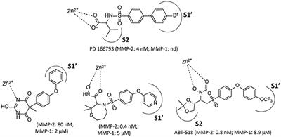 Development of Matrix Metalloproteinase-2 Inhibitors for Cardioprotection